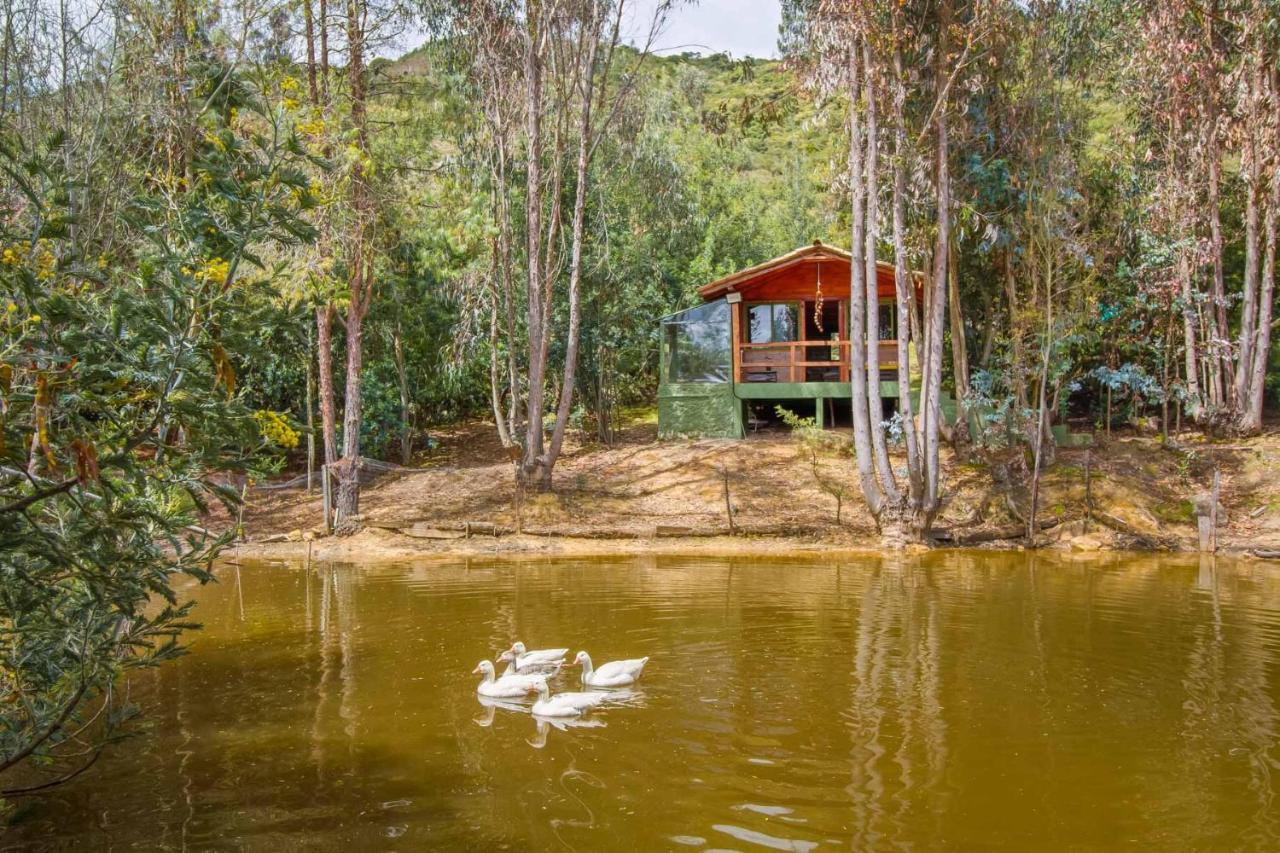 Cabana Tipo Glamping Savieza Life Experience Nemocon Екстер'єр фото